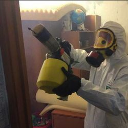 Уничтожение клопов в квартире. Златоуст